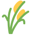 :ear_of_rice: :ear_of_rice: